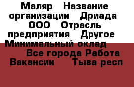 Маляр › Название организации ­ Дриада, ООО › Отрасль предприятия ­ Другое › Минимальный оклад ­ 18 000 - Все города Работа » Вакансии   . Тыва респ.